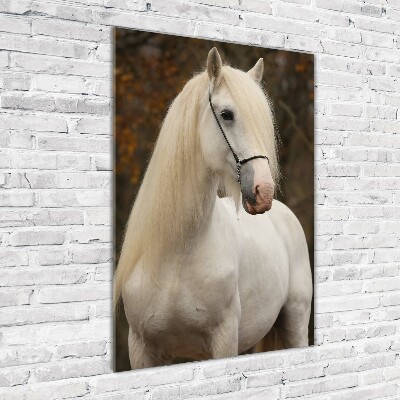 Staand foto in plexiglas Wit paard