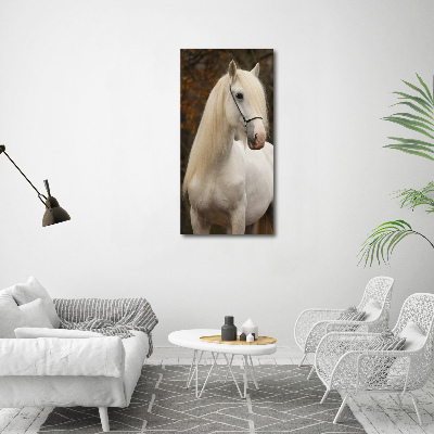 Staand foto in plexiglas Wit paard