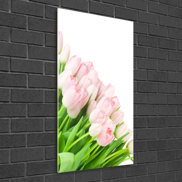 Staand plexiglas foto Roze tulpen