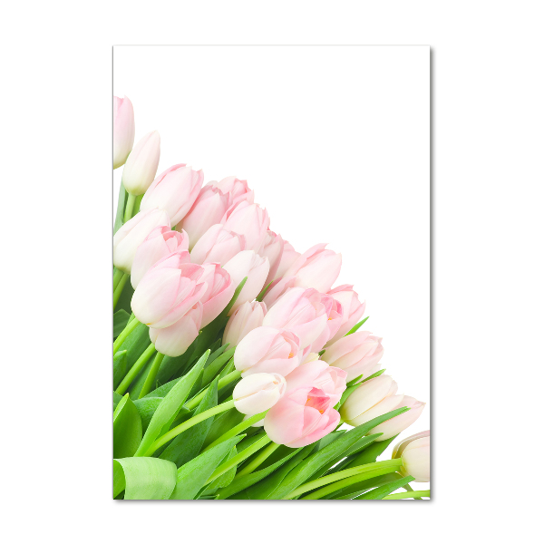 Staand plexiglas foto Roze tulpen
