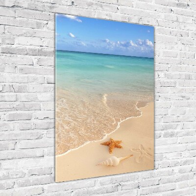 Staand foto in plexiglas Zeesterren op het strand