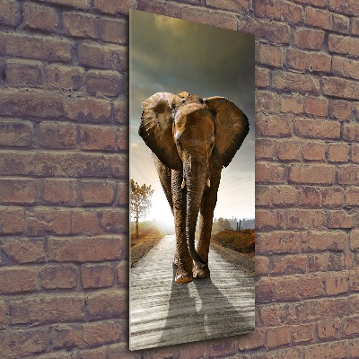 Staand plexiglas foto Lopende olifant