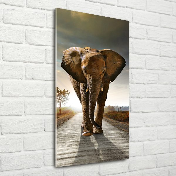 Staand plexiglas foto Lopende olifant