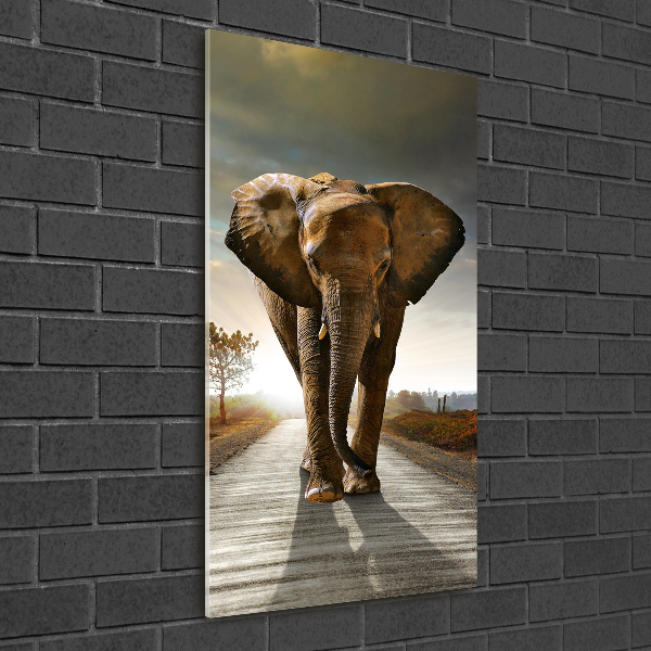 Staand plexiglas foto Lopende olifant