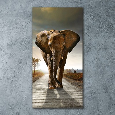 Staand plexiglas foto Lopende olifant