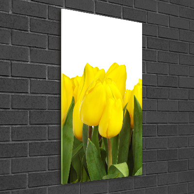 Staand foto op plexiglas Gele tulpen