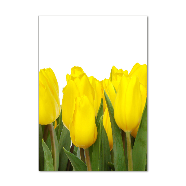 Staand foto op plexiglas Gele tulpen