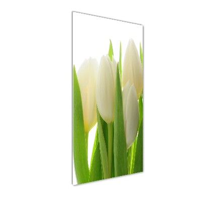 Staand plexiglas foto Witte tulpen