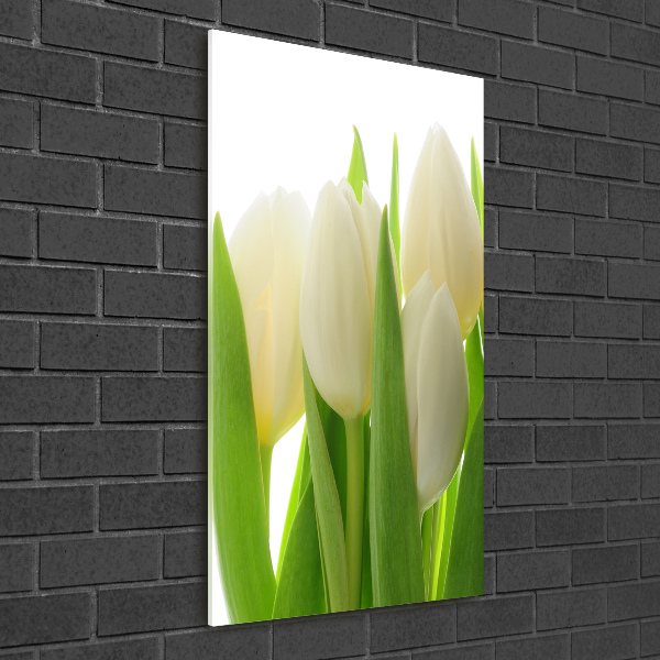 Staand plexiglas foto Witte tulpen