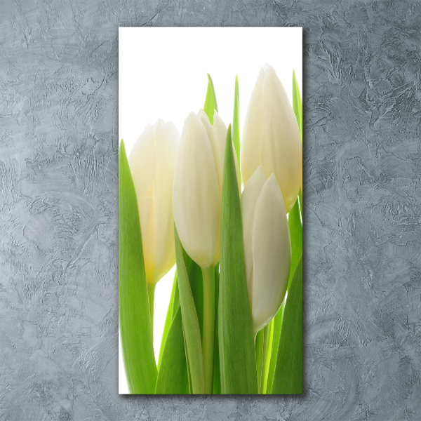 Staand plexiglas foto Witte tulpen