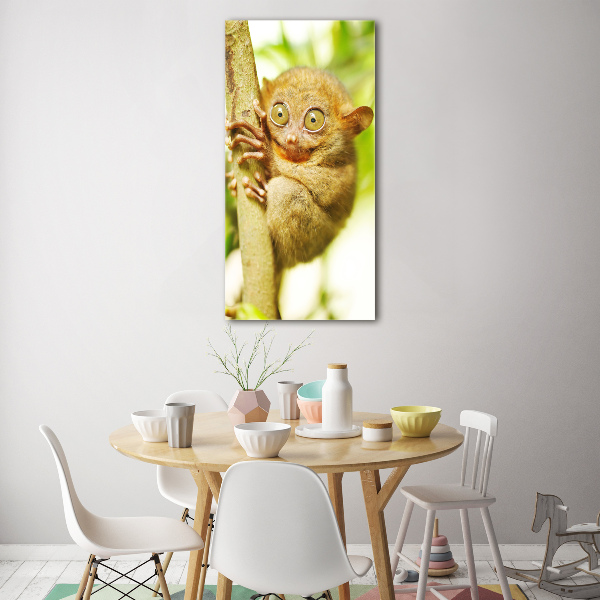 Staand foto plexiglas Spooktarsier