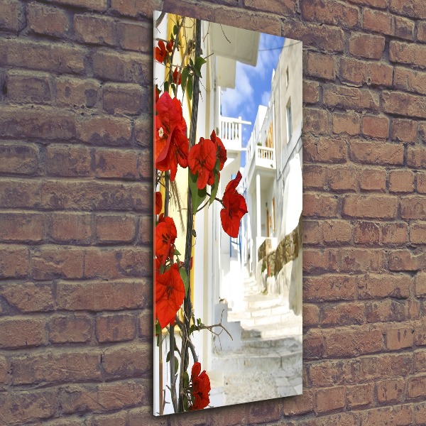 Staand plexiglas foto Mykonos, Griekenland