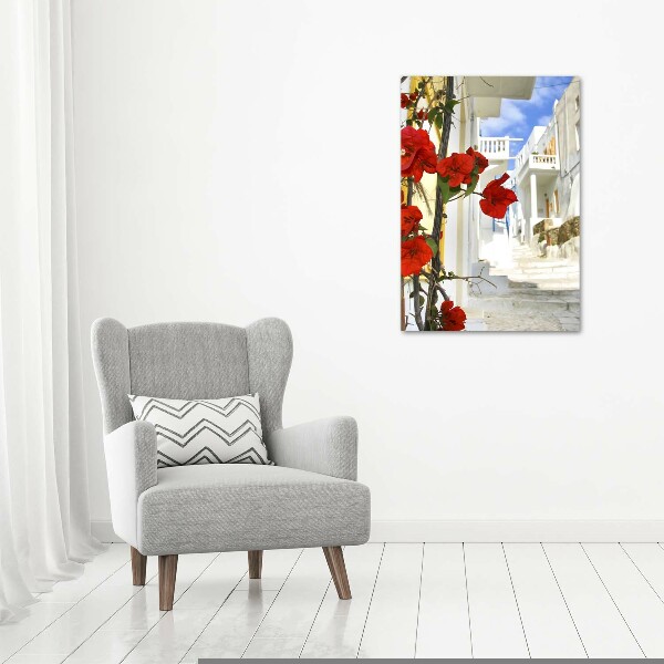 Foto obraz szkło akryl pionowy Mykonos Grecja