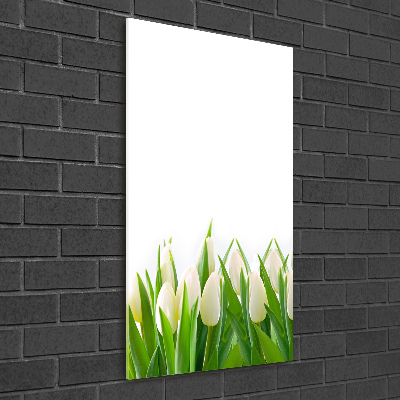 Staand foto plexiglas Witte tulpen