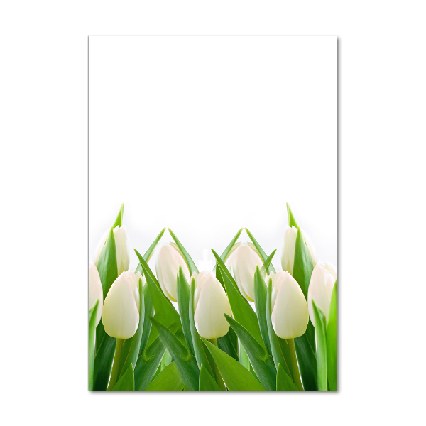 Staand foto plexiglas Witte tulpen