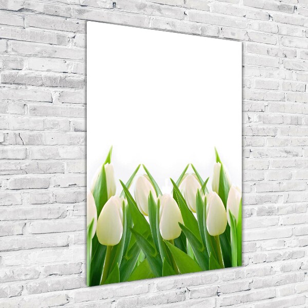 Staand foto plexiglas Witte tulpen