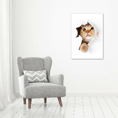 Staand foto op plexiglas Kat