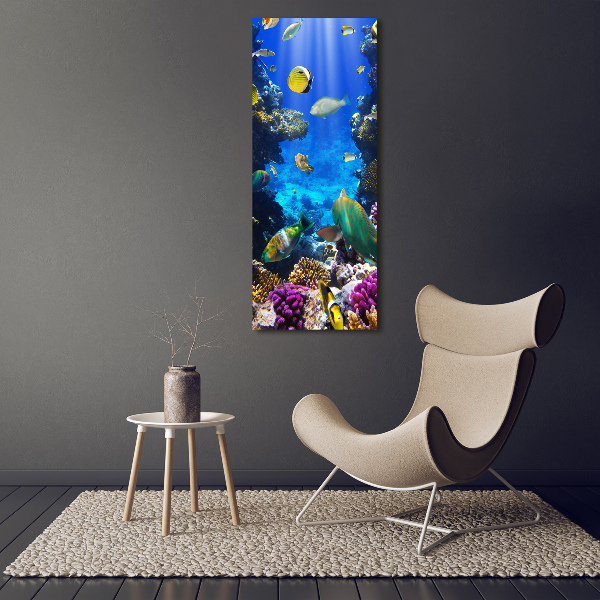 Staand plexiglas foto Koraalrif
