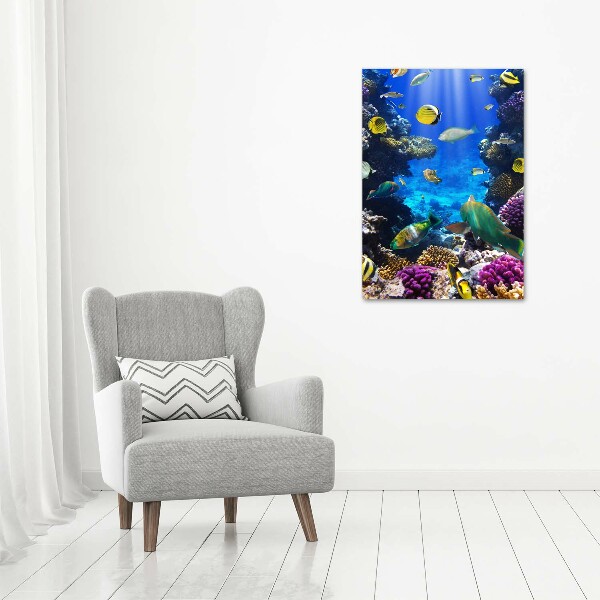 Staand plexiglas foto Koraalrif
