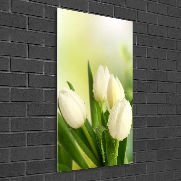 Staand foto plexiglas Witte tulpen
