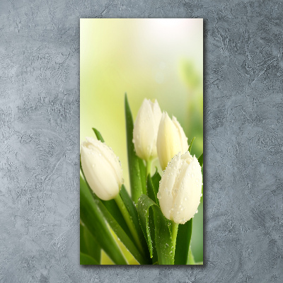 Staand foto plexiglas Witte tulpen