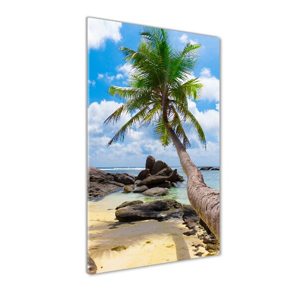 Staand foto plexiglas Tropisch strand