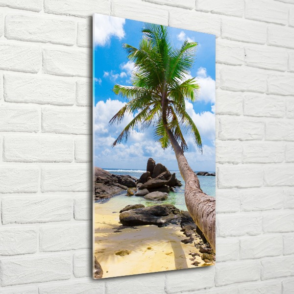 Staand foto plexiglas Tropisch strand