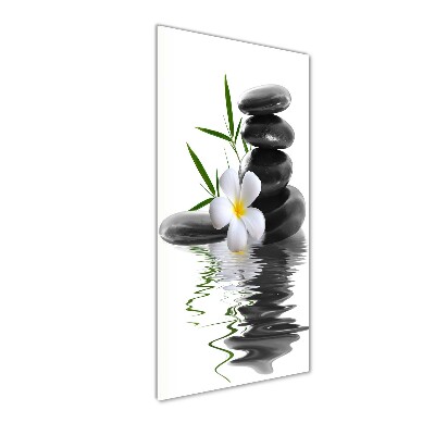 Staand foto plexiglas Orchidee en stenen