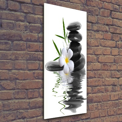 Staand foto plexiglas Orchidee en stenen