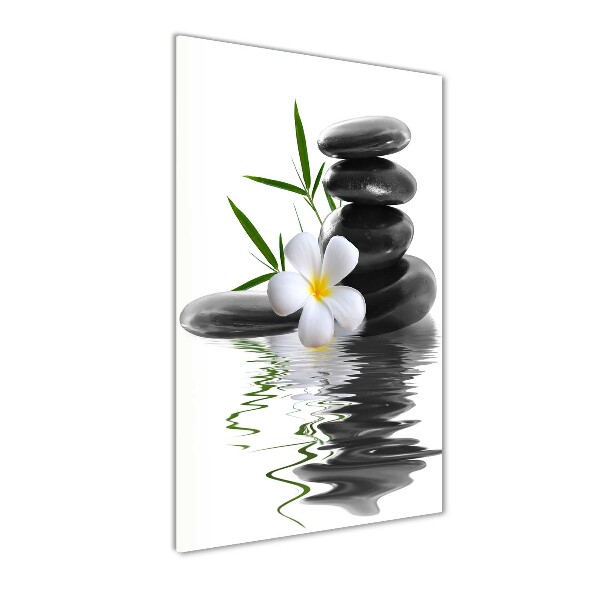 Staand foto plexiglas Orchidee en stenen