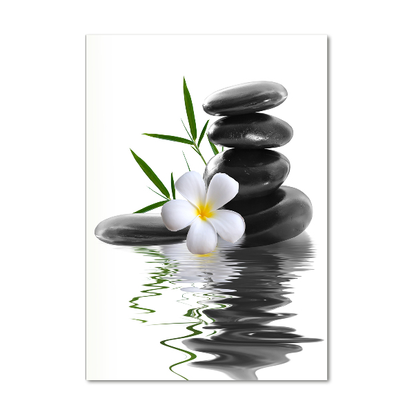 Staand foto plexiglas Orchidee en stenen