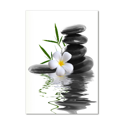 Staand foto plexiglas Orchidee en stenen