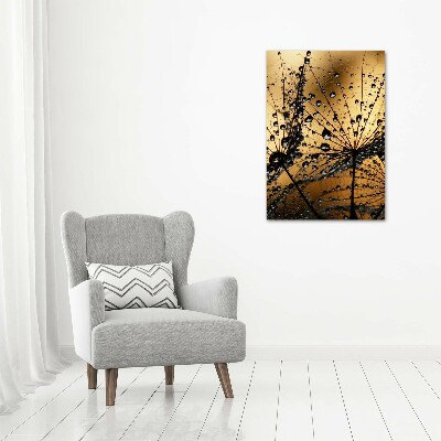 Staand foto in plexiglas Paardenbloemzaden