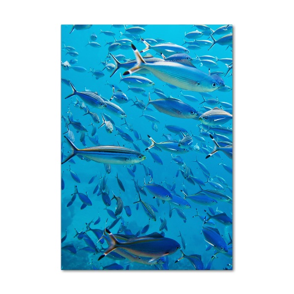 Foto obraz szkło akryl pionowy Koralowe ryby