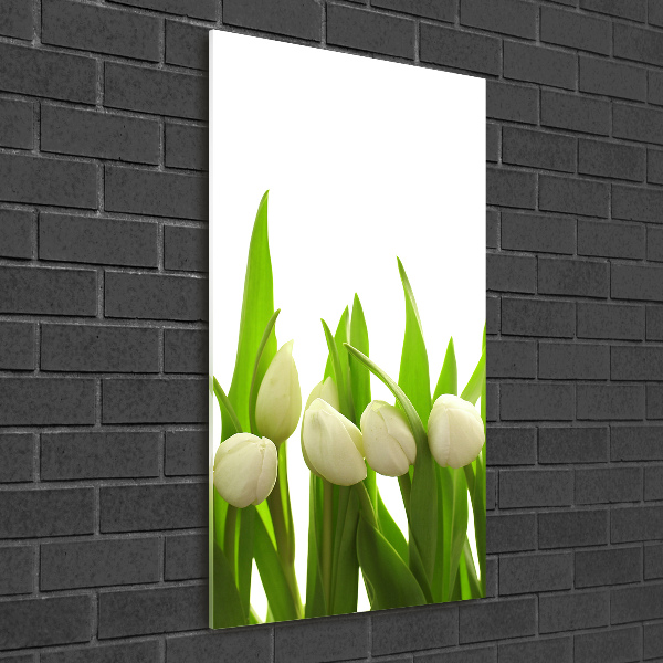 Staand foto plexiglas Witte tulpen