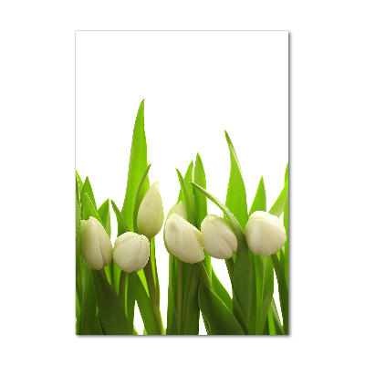 Staand foto plexiglas Witte tulpen