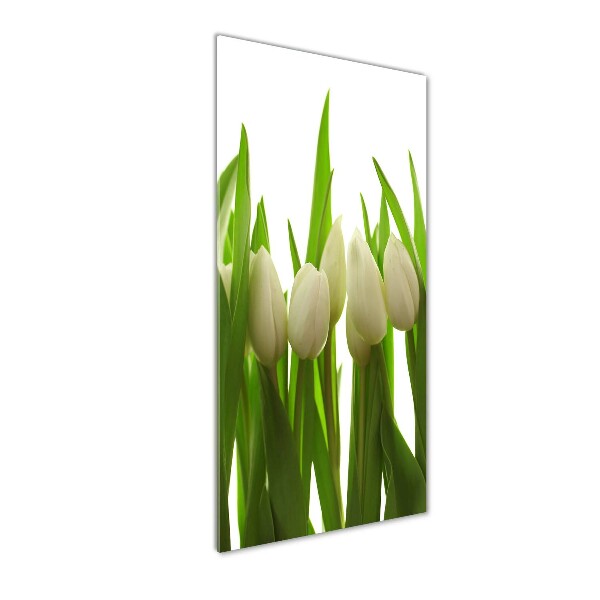 Staand foto in plexiglas Witte tulpen