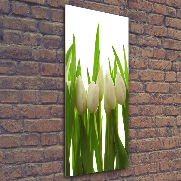 Staand foto in plexiglas Witte tulpen
