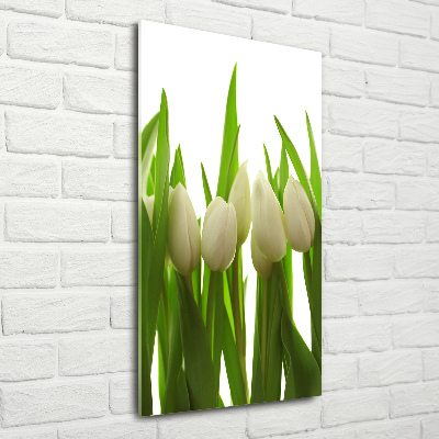Staand foto in plexiglas Witte tulpen