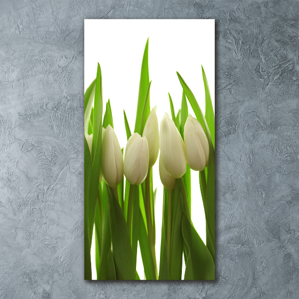 Staand foto in plexiglas Witte tulpen