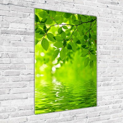 Staand foto op plexiglas Groene bladeren