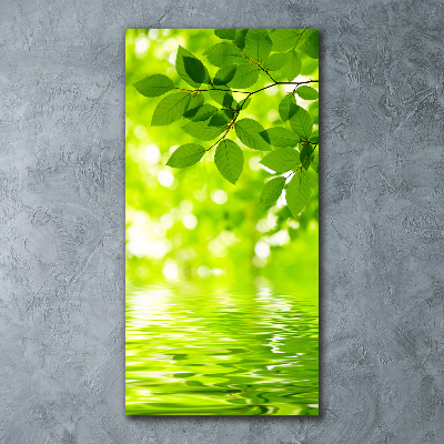 Staand foto op plexiglas Groene bladeren