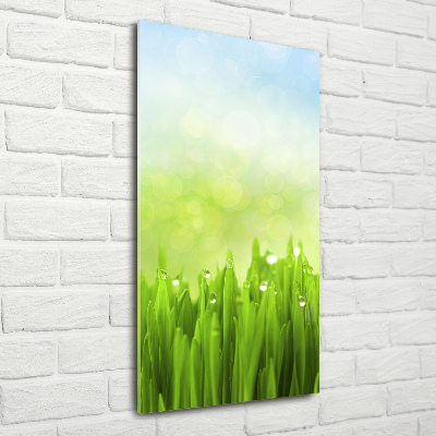 Obraz zdjęcie na scianę akrylowy pionowy Trawa