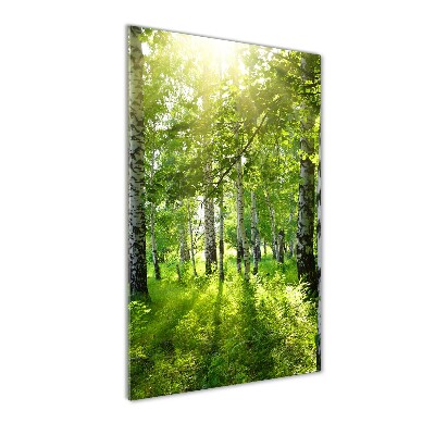 Staand foto plexiglas Berkenbos