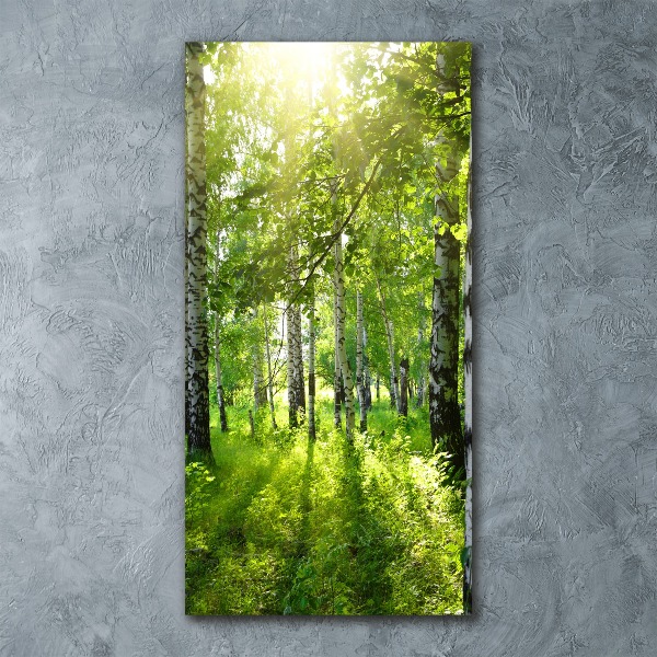 Staand foto plexiglas Berkenbos