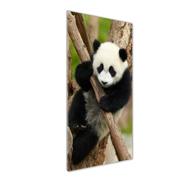 Staand foto op plexiglas Panda in een boom