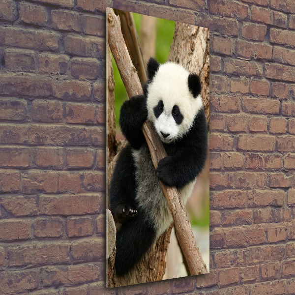 Staand foto op plexiglas Panda in een boom