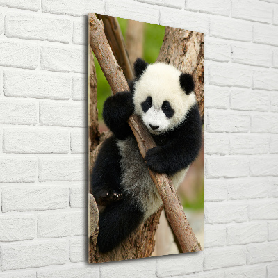 Staand foto op plexiglas Panda in een boom