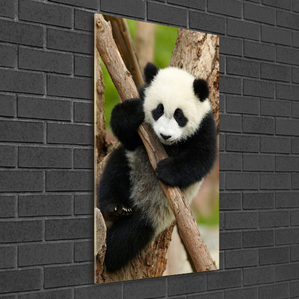 Staand foto op plexiglas Panda in een boom
