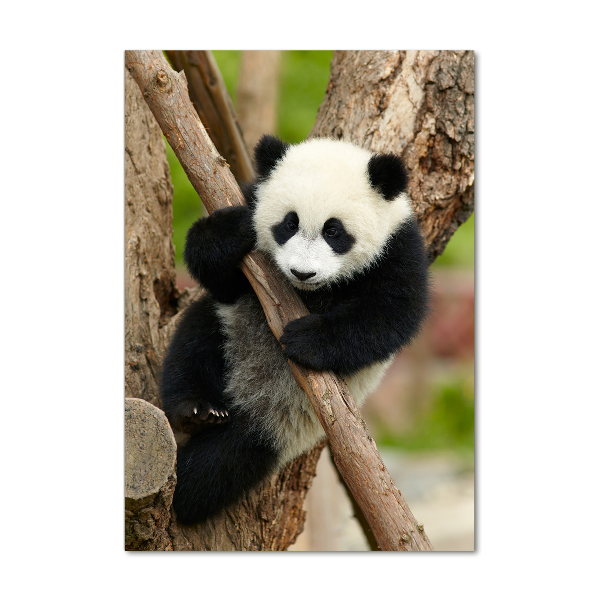Staand foto op plexiglas Panda in een boom